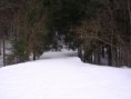 /album/tabor-v-zime/tabor-v-zime1-jpg/